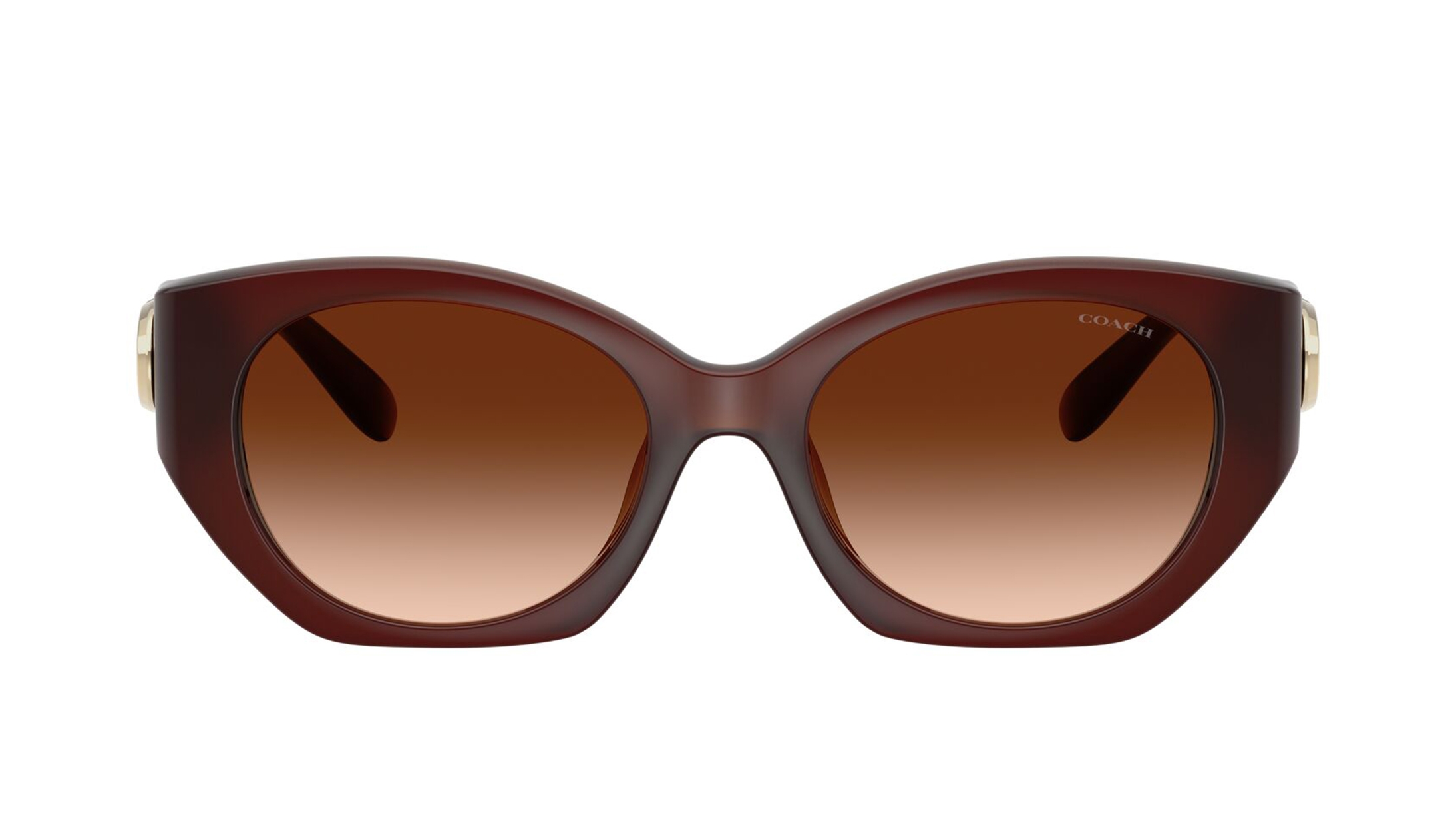 Image 1 of Brown Oval Sunglasses for Women from Coach Available at Titan Eye+