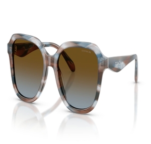 Image 2 of Brown Square Sunglasses for Women from Coach Available at Titan Eye+