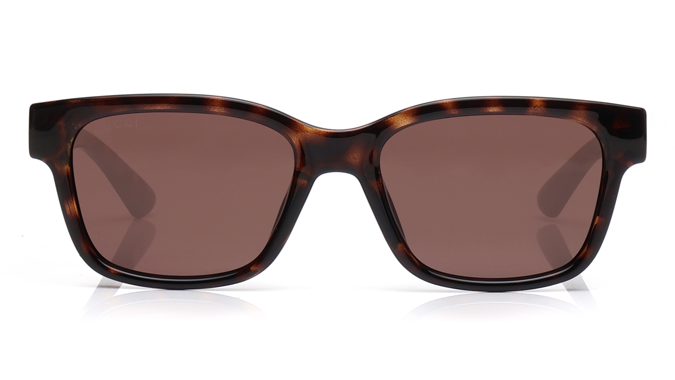 Image 1 of Brown CatEye Sunglasses for Women from Gucci Available at Titan Eye+