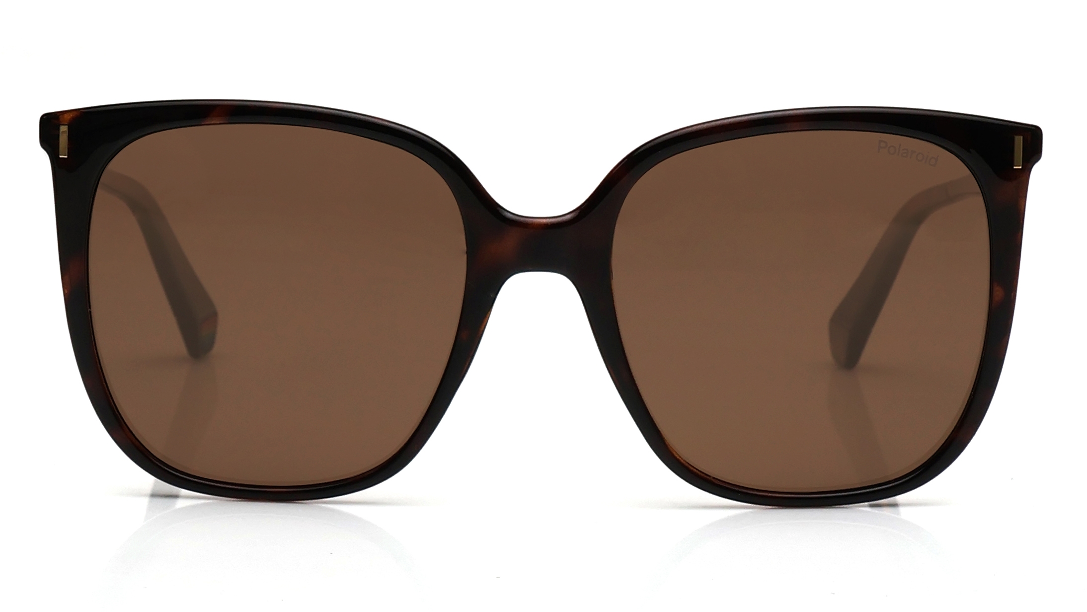Image 1 of Brown Square Polarized Sunglasses for Women from Polaroid Available at Titan Eye+
