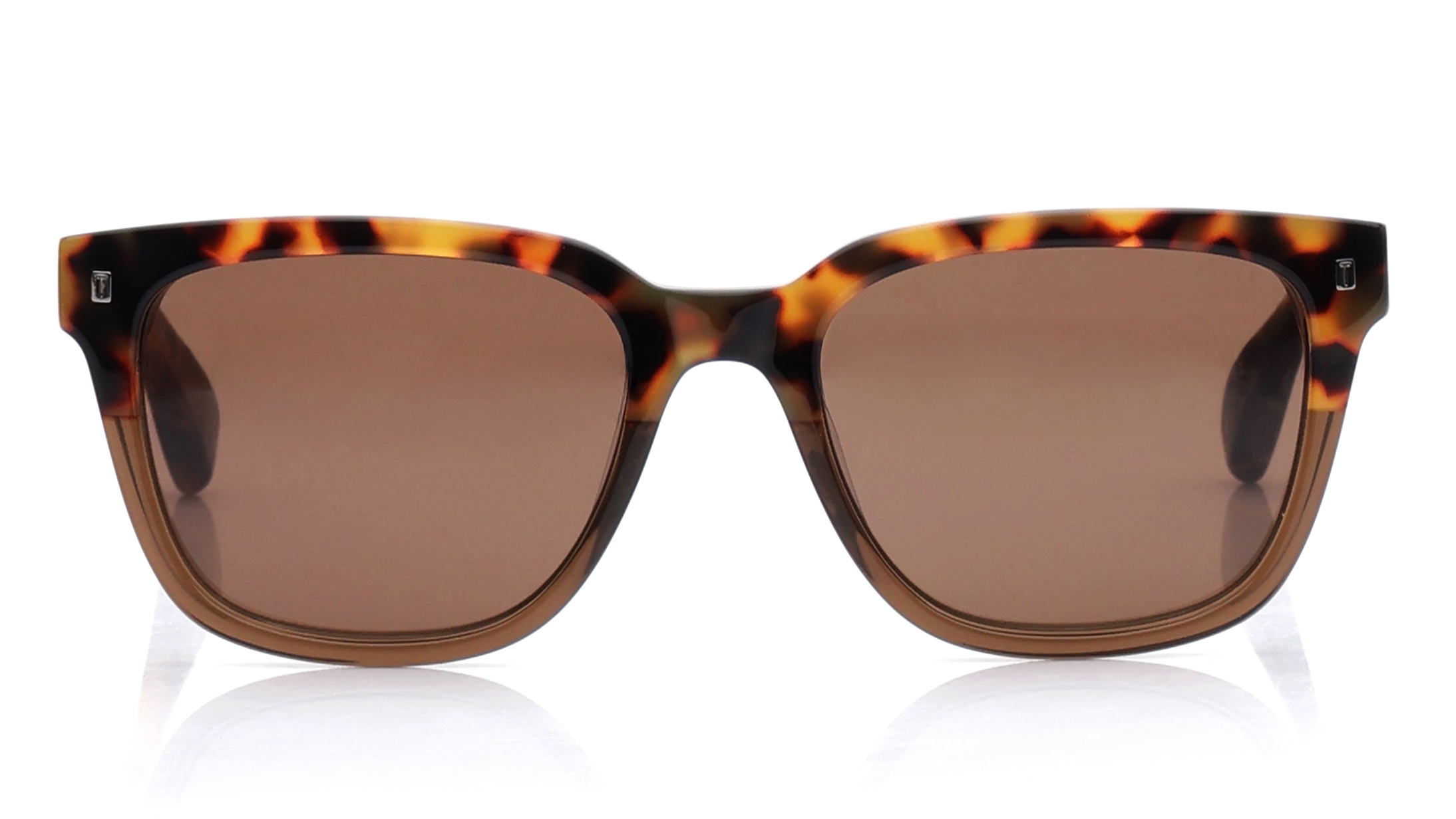 Image 1 of Brown Square Sunglasses for Men from Ted Baker Available at Titan Eye+
