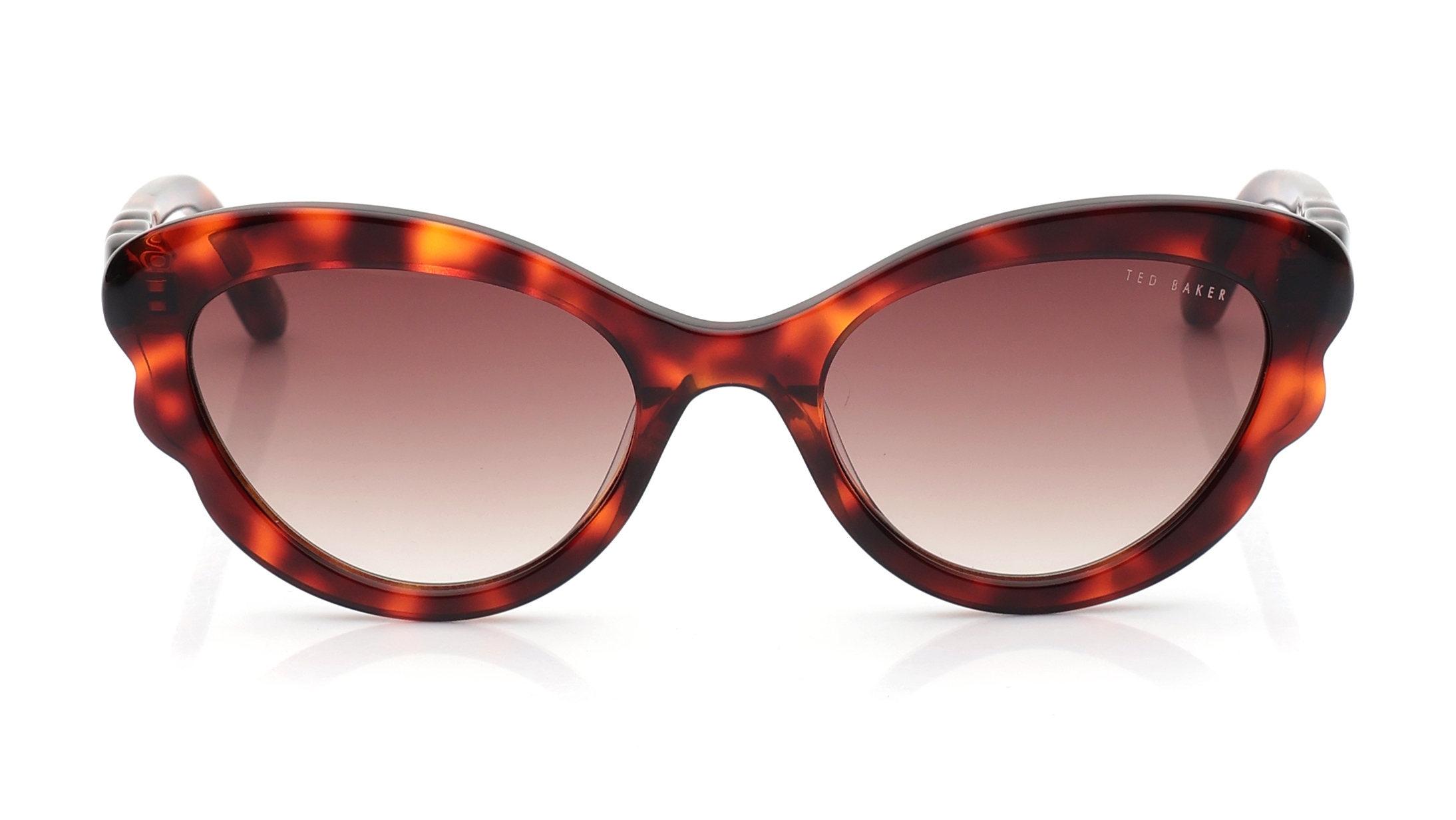 Image 1 of Brown CatEye Sunglasses for Women from Ted Baker Available at Titan Eye+