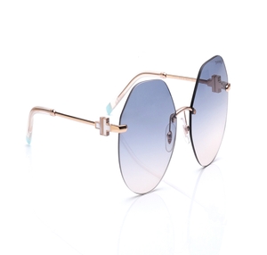 Image 2 of Metal Irregular Sunglasses for Men And Women from Tiffany & Co. Available at Titan Eye+