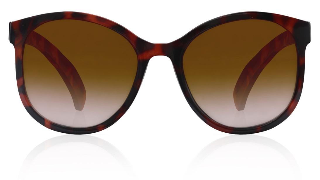 Image 1 of Brown Round Sunglasses for Women from Fastrack Available at Titan Eye+