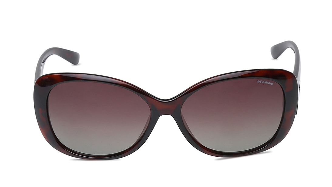 Image 1 of Grey Butterfly Polarized Sunglasses for Women from Polaroid Available at Titan Eye+